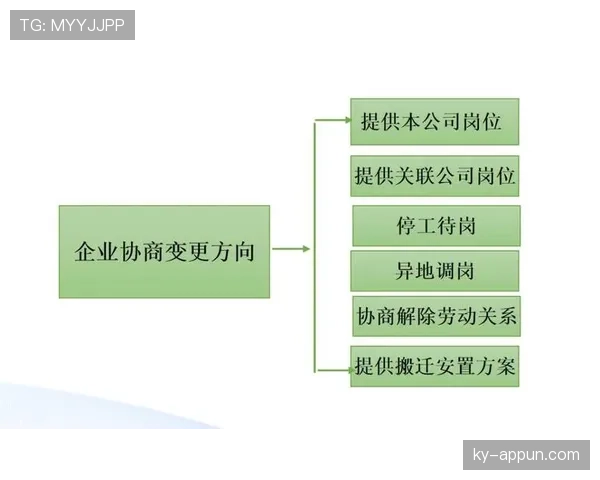 装备规则何为合规装备及裁判现场判定标准